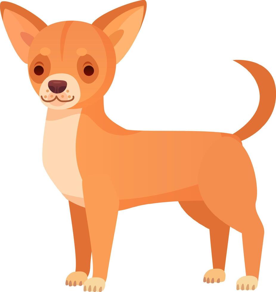 Small sized short coated dog breed with pointed ears and a curled tail, standing in a friendly and alert pose, exuding a playful and cheerful demeanor against a white background vector
