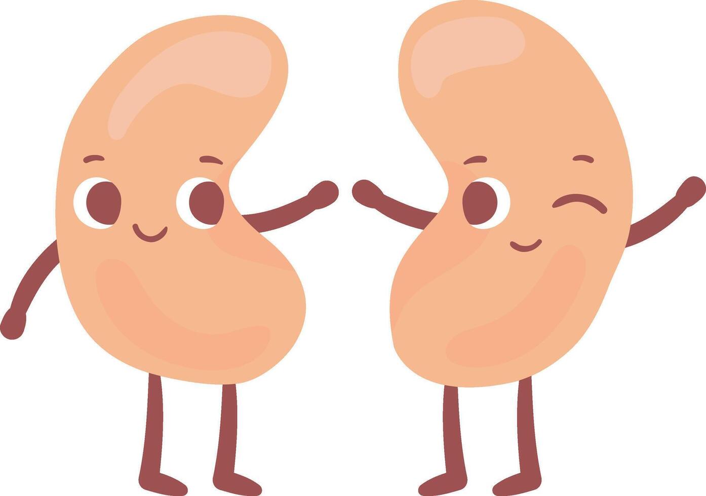 Two cheerful kidneys with arms and legs exchanging high fives, celebrating kidney health and emphasizing the importance of disease prevention and wellness awareness vector