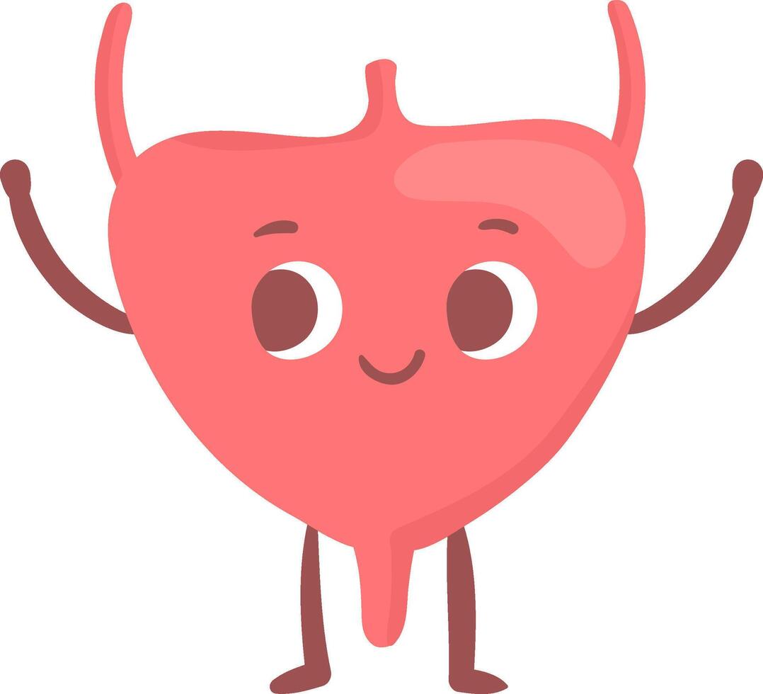 Cartoon illustration of a healthy happy human bladder raising arms and smiling, promoting awareness of urinary health and encouraging regular checkups vector