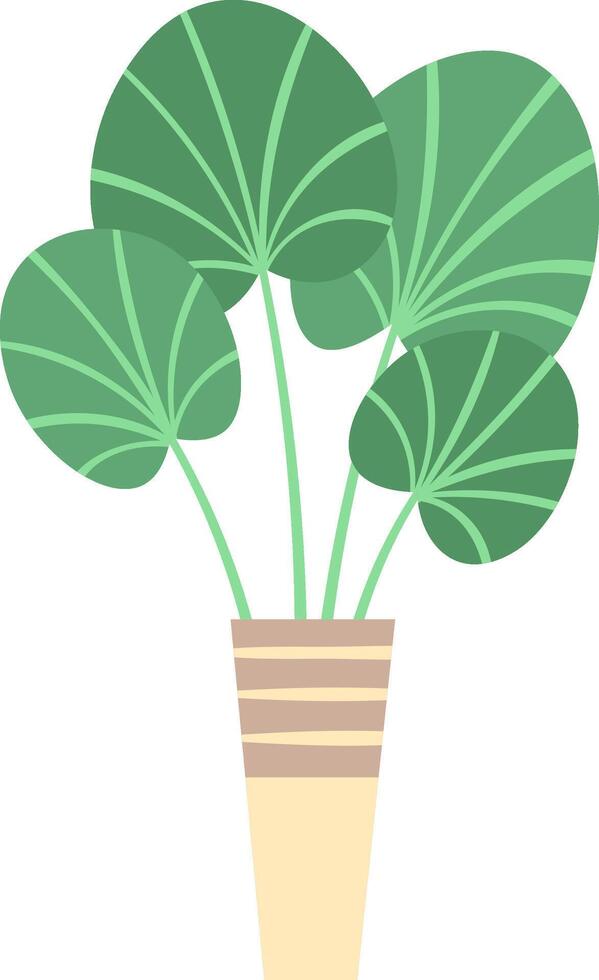 Lush potted plant featuring large, rounded, striped leaves enhances interior spaces, infusing homes with a vibrant, calming atmosphere that embraces natural beauty and tranquility vector