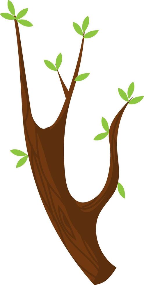 Brown tree branch growing new green leaves in the spring season, concept of rebirth and new life, simple cartoon illustration on a white background vector