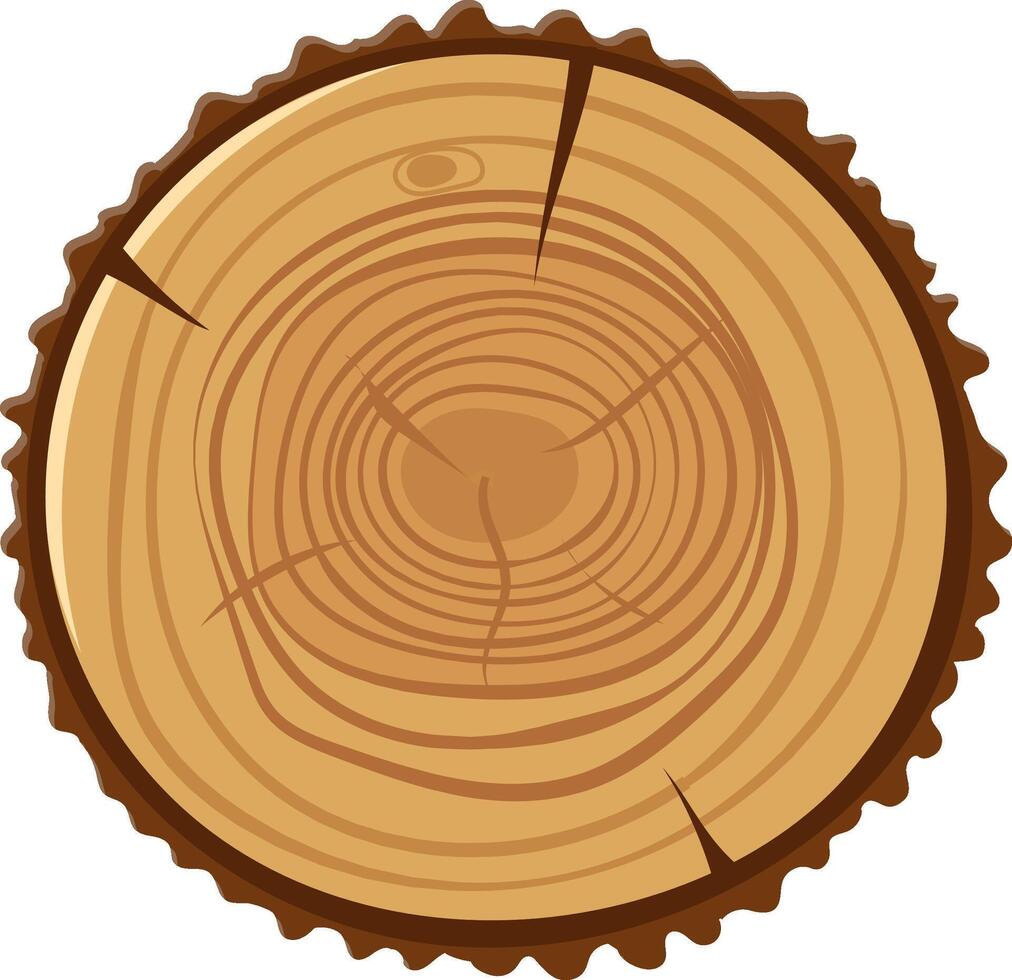 Tree trunk section displaying detailed growth rings, highlighting the passage of time and the intricate life cycle of a tree, with rich textures and patterns in natural wood vector