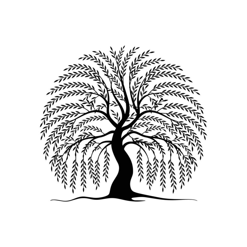 Graceful Weeping Willow Tree Silhouette for Calm, Nature-Inspired Designs vector