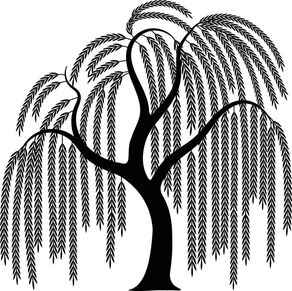 Elegant Weeping Willow Tree Silhouette with Flowing Branches and Natural Grace vector