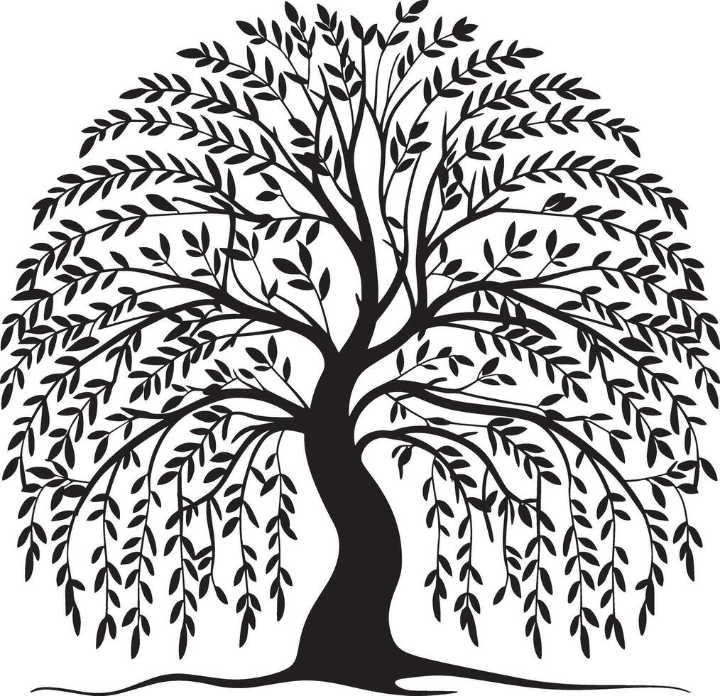 Elegant Weeping Willow Tree Silhouette with Flowing Branches, Willow Tree Logo vector