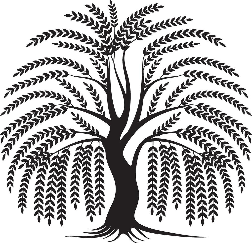 Elegant Weeping Willow Tree Silhouette with Flowing Branches vector