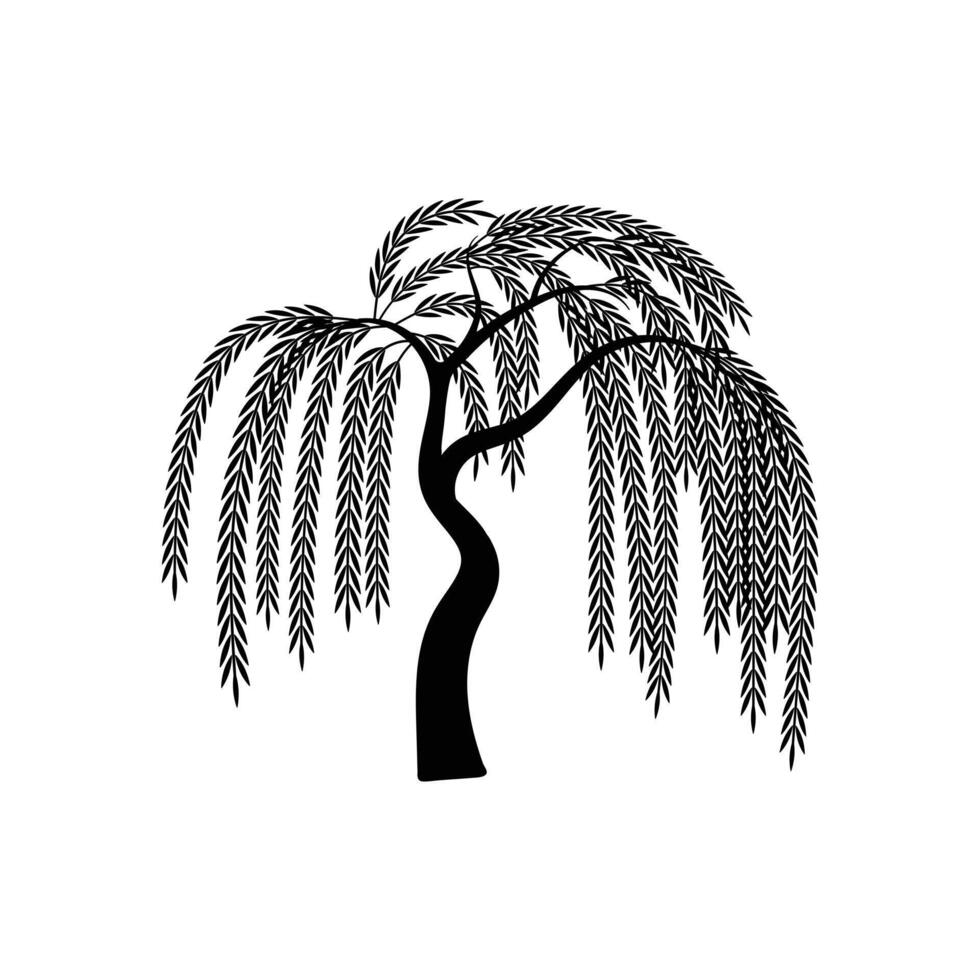 Elegant Weeping Willow Tree Silhouette with Flowing Branches, Willow Logo vector