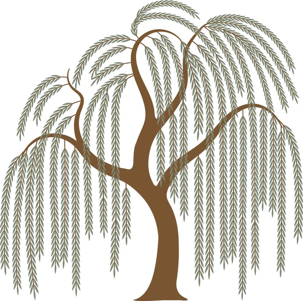 Peaceful Hanging Branch Willow Tree Illustration, Weeping Willow Tree Silhouette vector