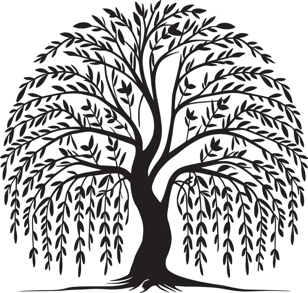 Elegant Willow Tree Design with Flowing Branches, Weeping Willow Tree Silhouette vector