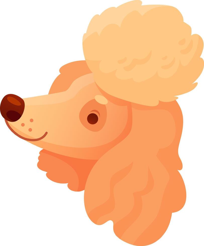 Cartoon illustration featuring a cute apricot poodle puppy with fluffy fur, gazing upwards with a curious and gentle expression, embodying playfulness and charm vector