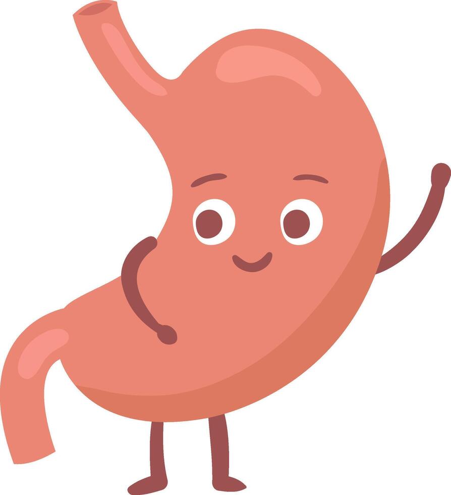 Cartoon illustration of a happy stomach waving and smiling, promoting digestive health and well being, ideal for healthcare and educational materials vector