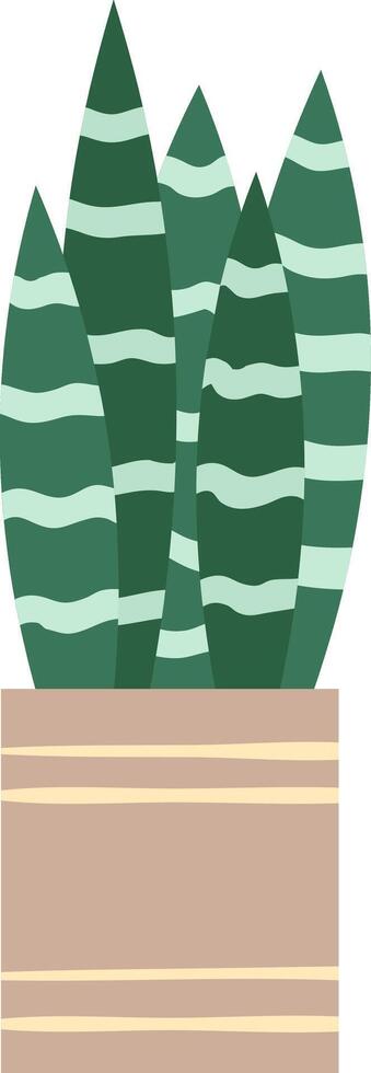 Simple illustration of a snake plant with long, pointed, green leaves with light green stripes, growing in a light brown pot with horizontal beige stripes vector