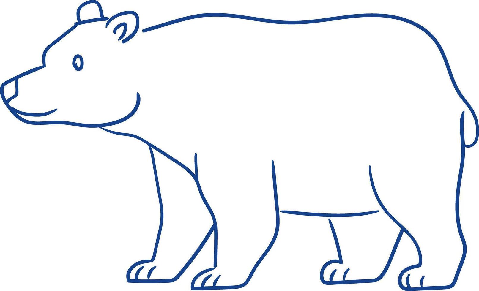 Drawing of a bear on a white background showcasing its features and structure with simple lines vector