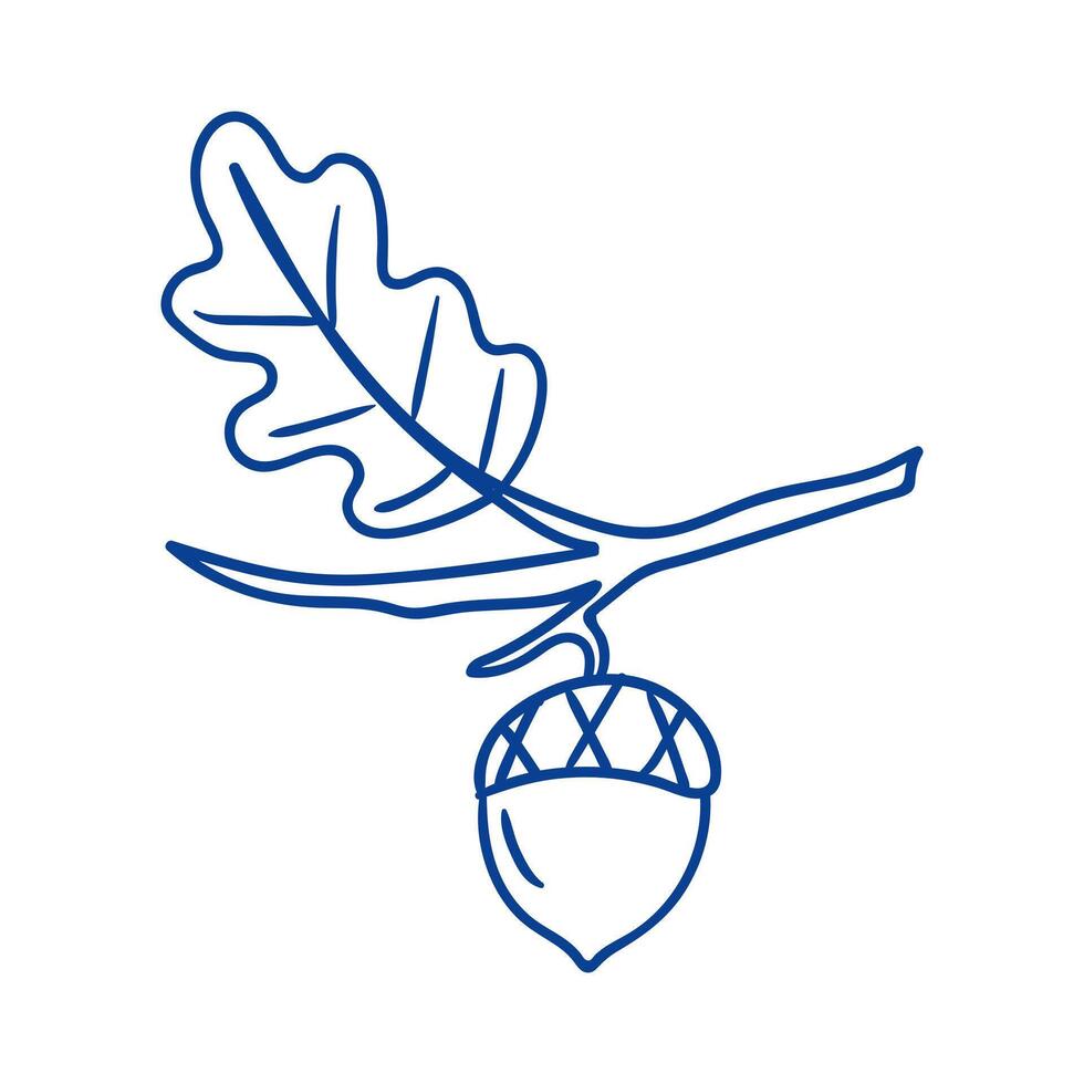Illustration of an acorn hanging from an oak tree branch with detailed leaves vector