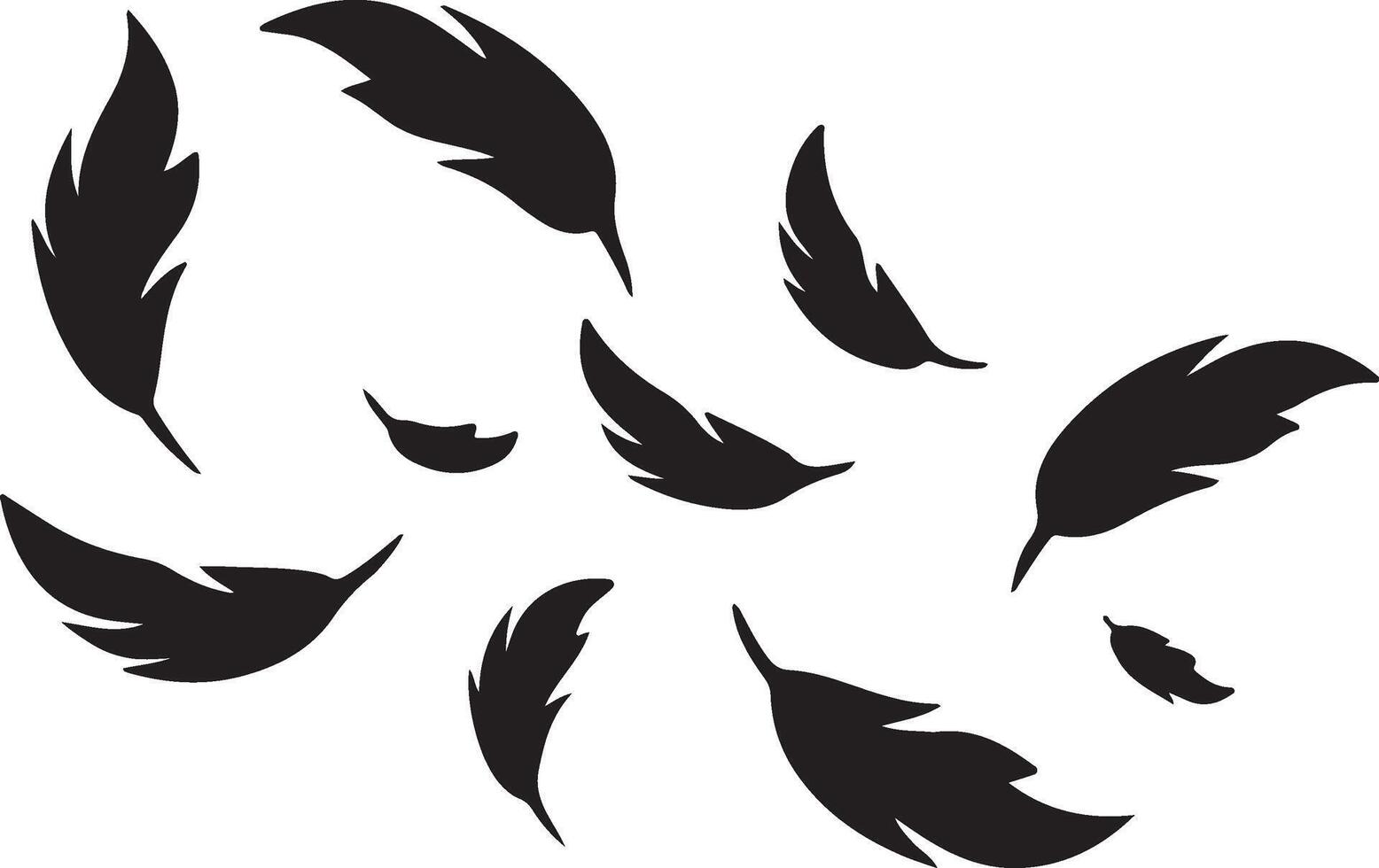 black feathers floating silhouette vector
