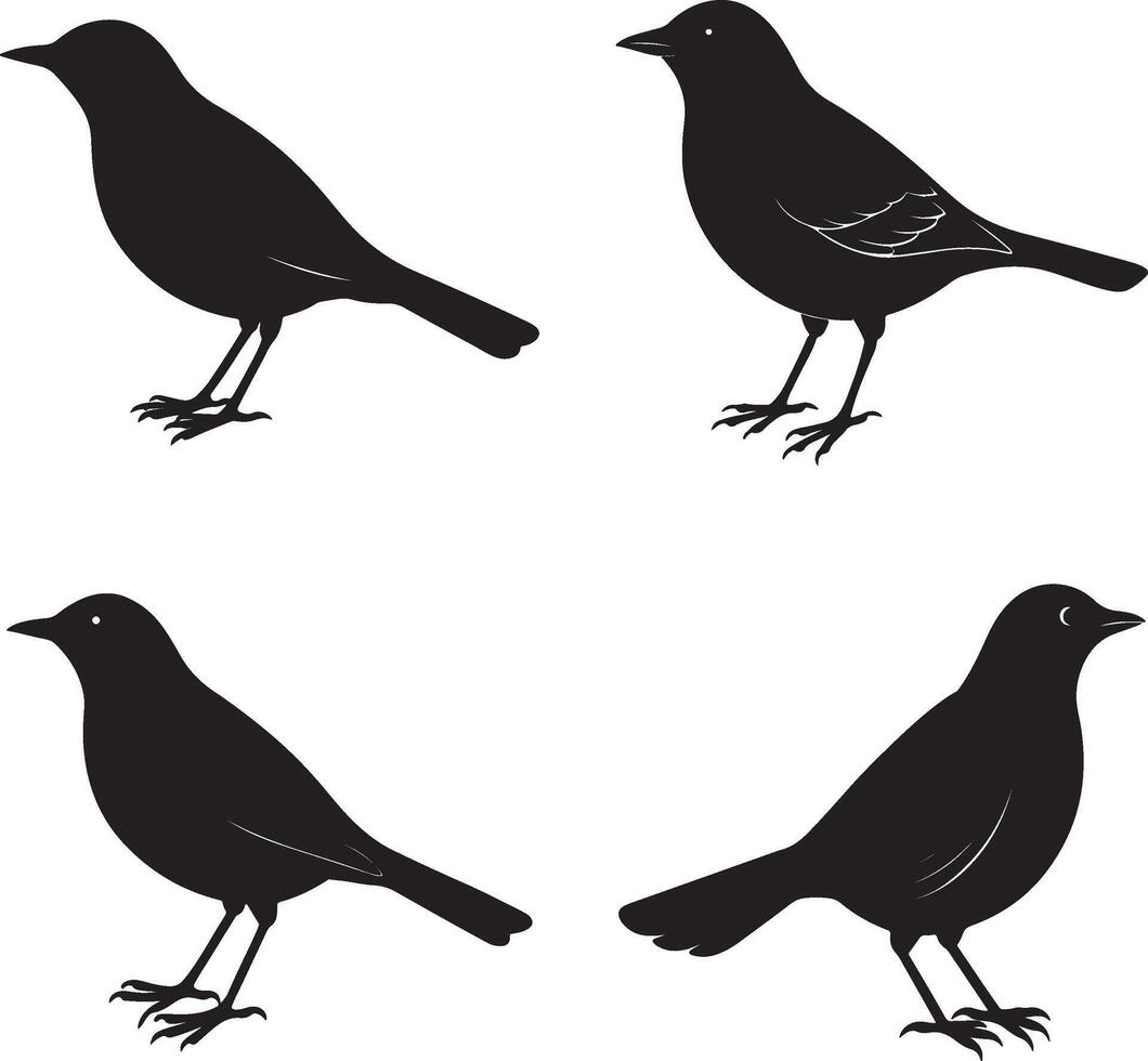 Black bird silhouettes vector