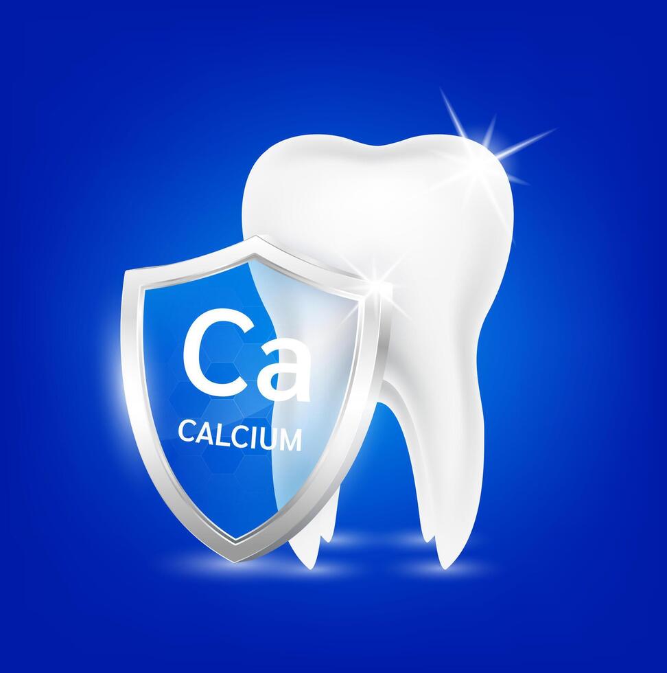 Shield aluminum calcium transparent and teeth human healthy. Foods vitamins minerals logo products template design. Medical food supplement concepts. vector