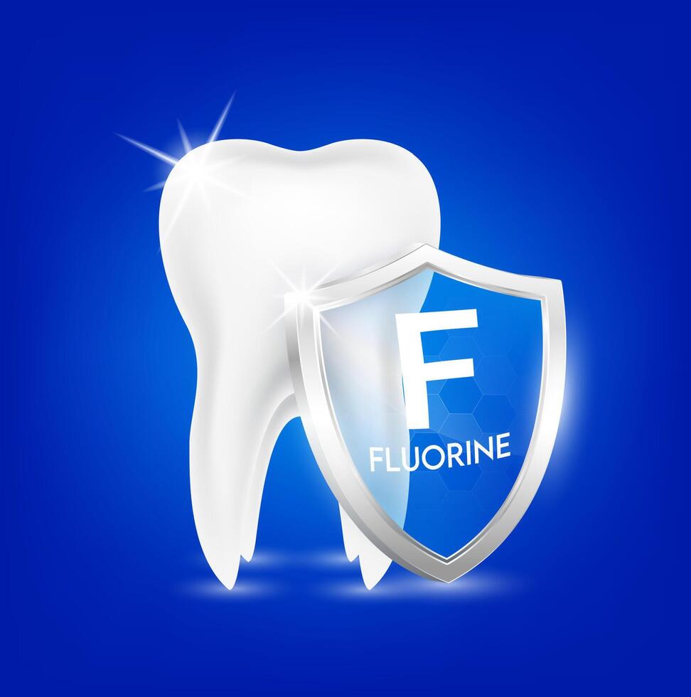 Shield aluminum fluorine transparent and tooth human healthy. Foods vitamins minerals logo products template design. Medical food supplement concepts. vector