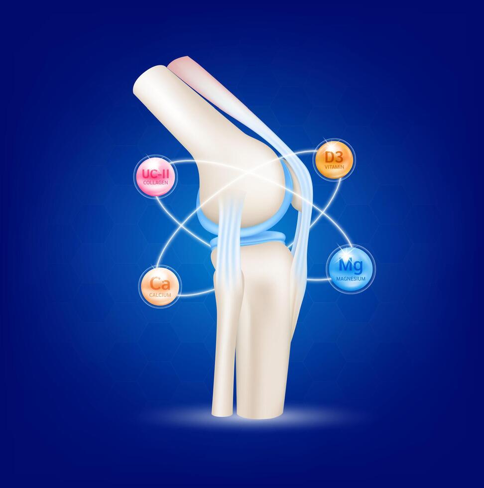 Healthy joint bone and Minerals calcium, magnesium, collagen, vitamin. Radius ring surrounds on a blue background. Help heal arthritis knee. For nutrition products design. vector