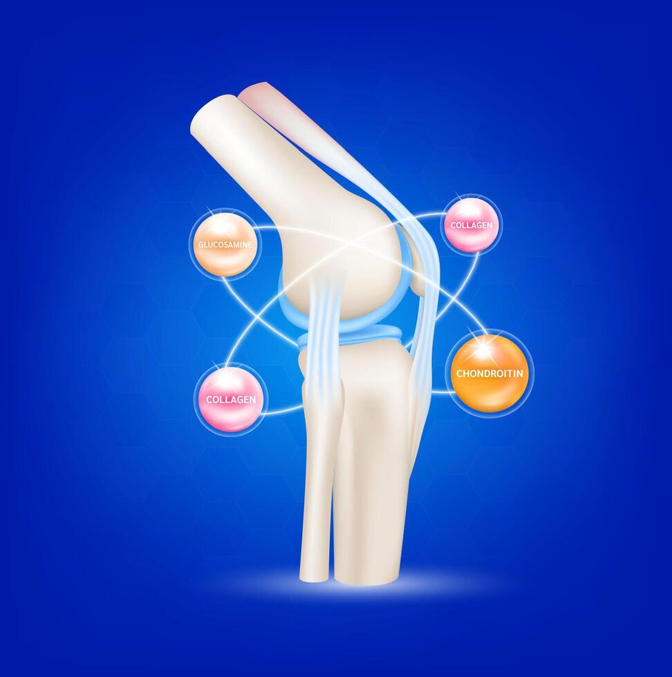 Healthy joint bone and Minerals collagen and vitamins complex. Radius ring surrounds on a blue background. Help heal arthritis knee. For nutrition products design. vector