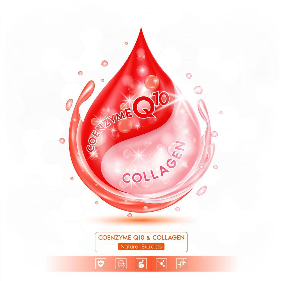 Red coenzyme Q10 and pink collagen solution isolated on white background. Vitamins complex minerals supplements should take in pairs. Helps keep skin moisturized and youthful. vector