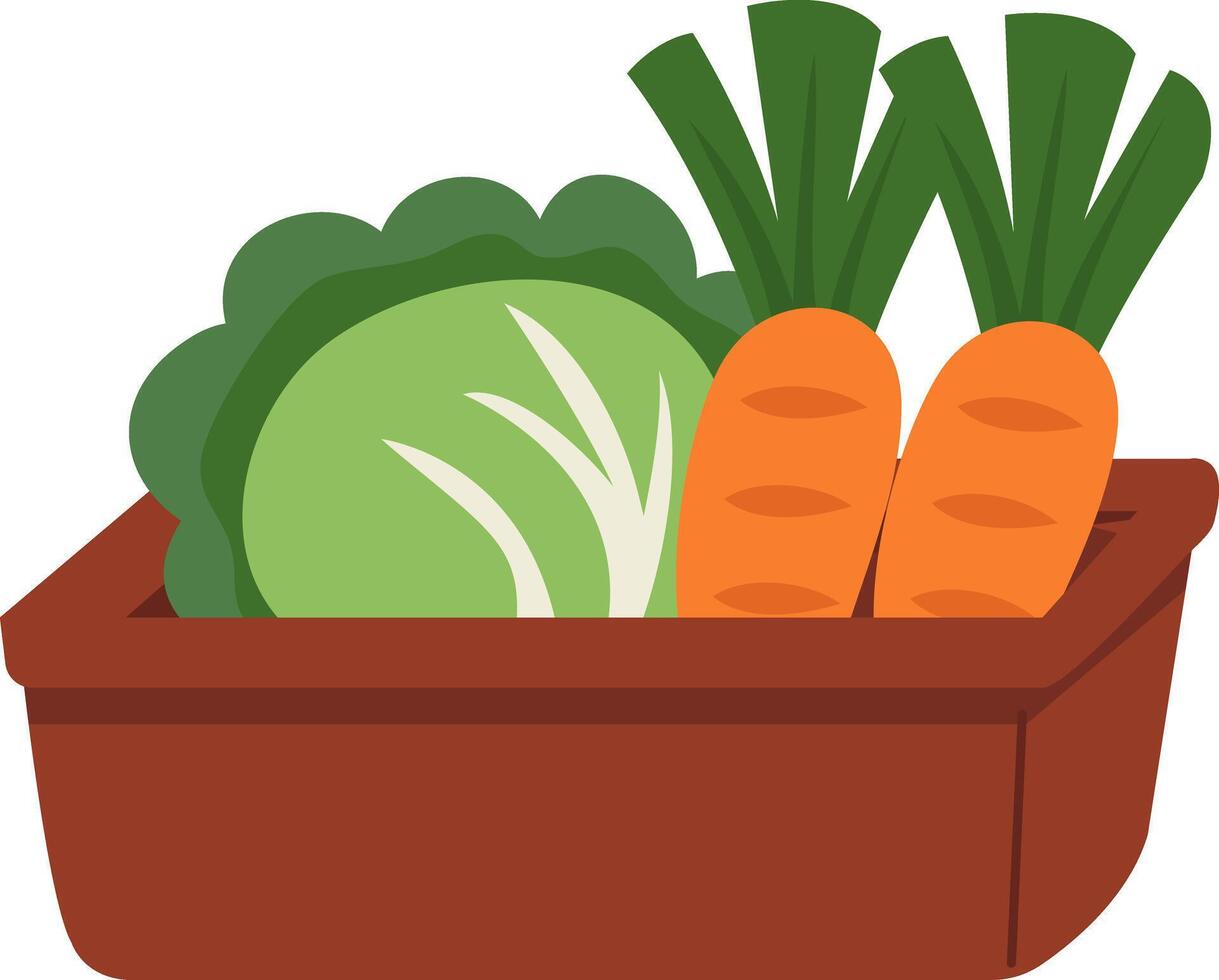 Fresh Harvest Carrots, Cabbage in Wooden Crate vector