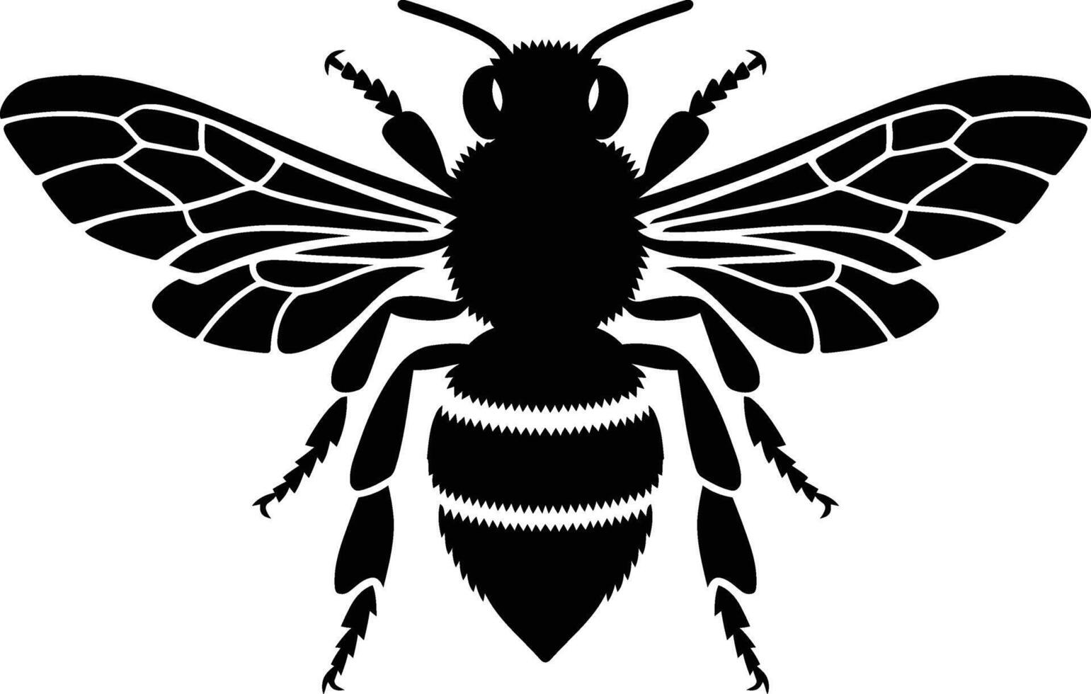 Detailed Silhouette of a Honeybee, Realistic Honeybee Silhouette in Black vector
