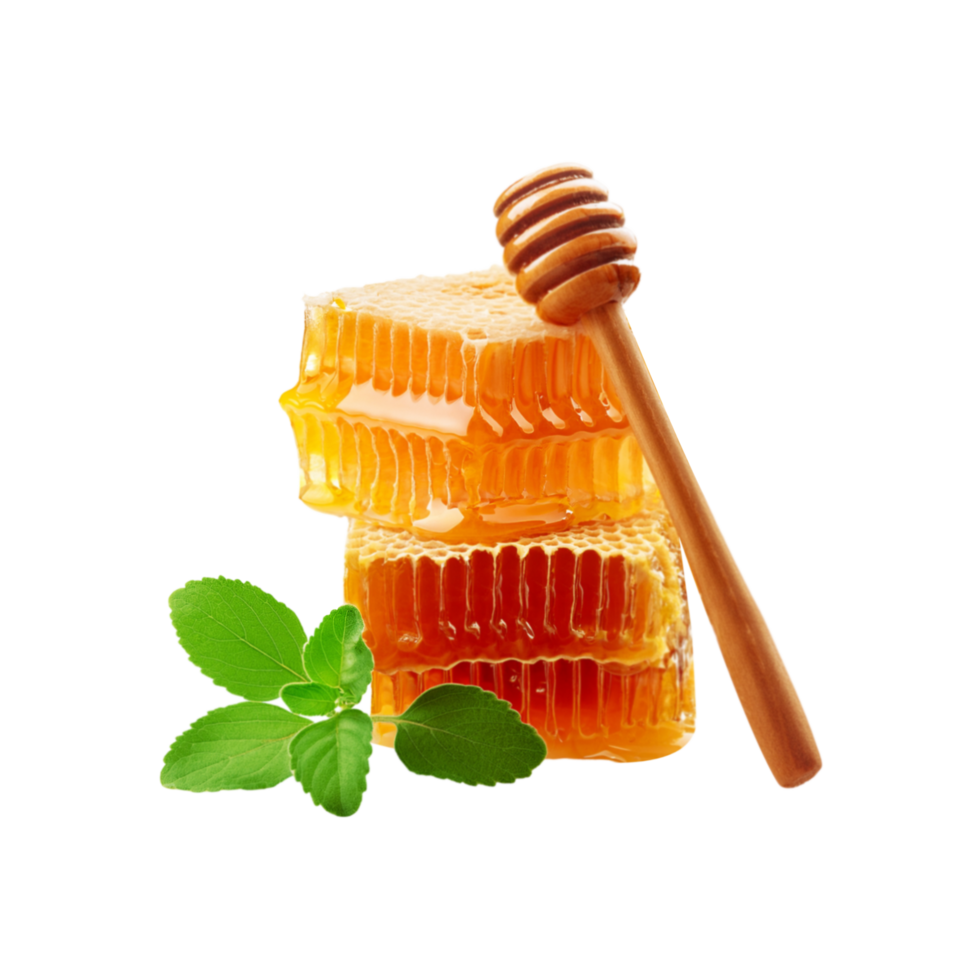 Honey comb with tulsi leaf on transparent background png