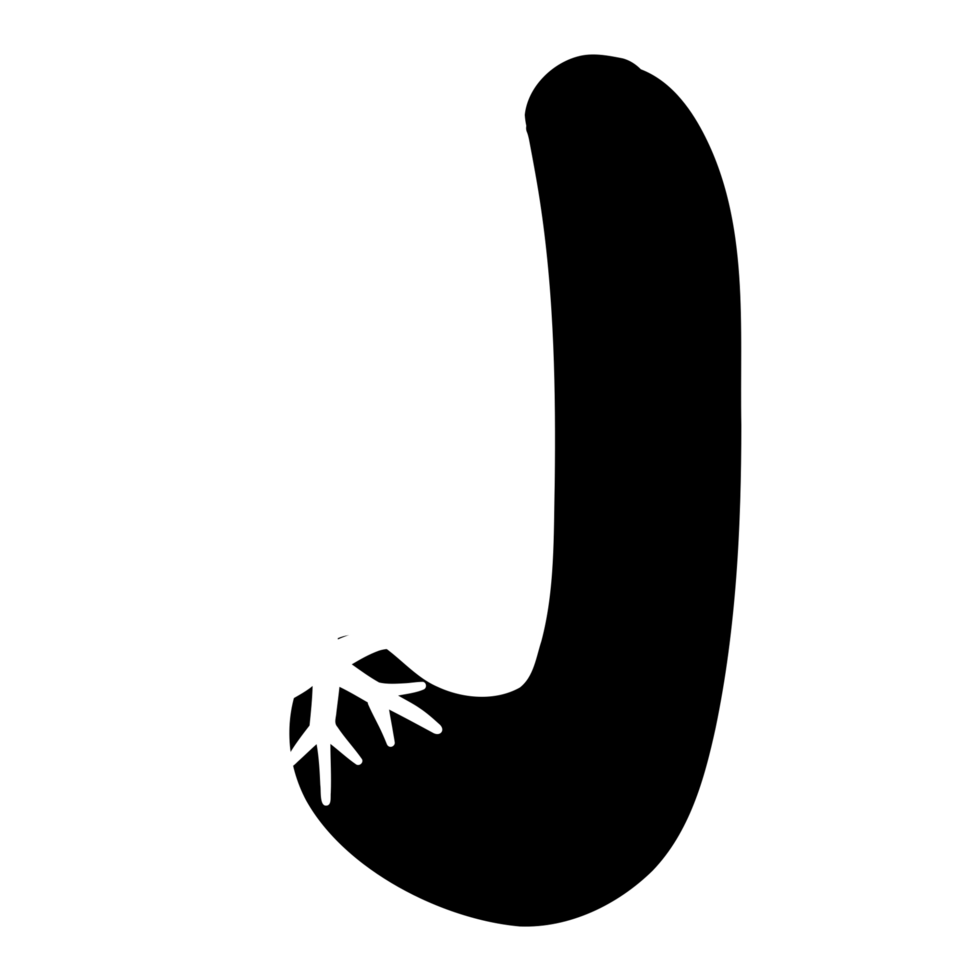 a black Alphabet and white snowflake lette png