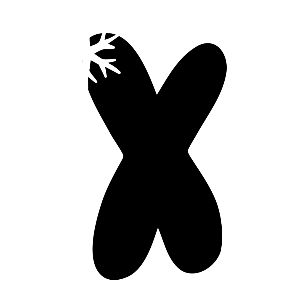 X snowflake alphabet png