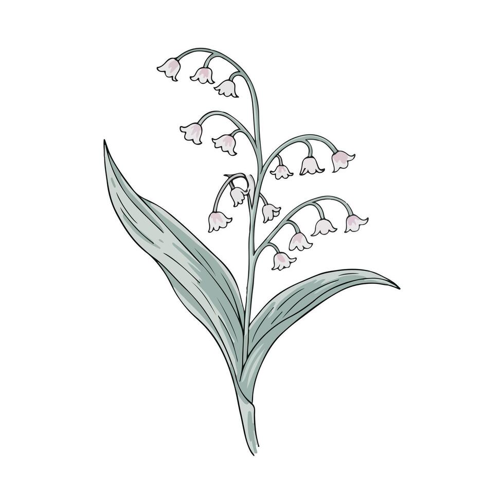 Tiny Blossoms On Gentle Stems vector