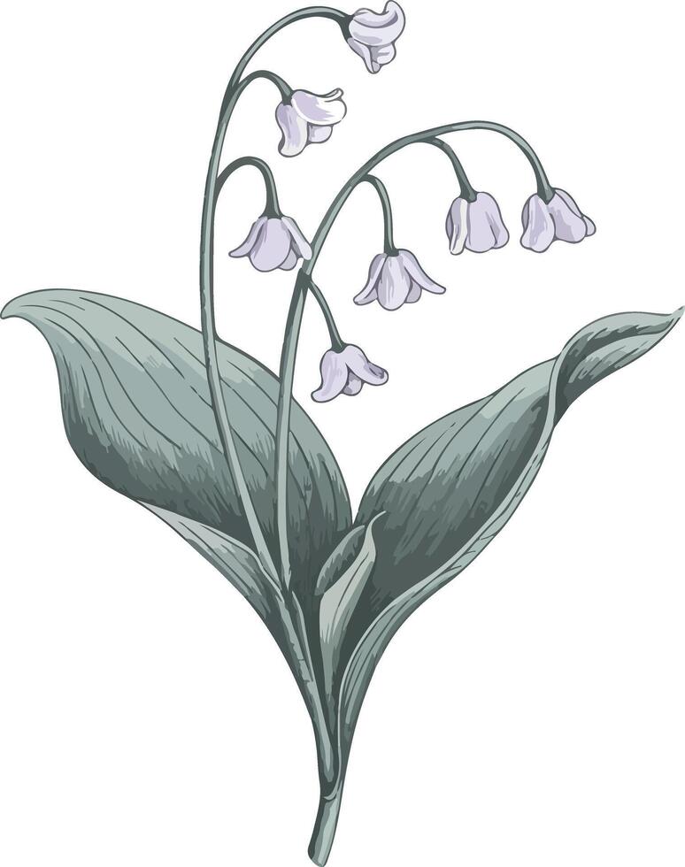 Gentle Blooms With Soft Leaves vector