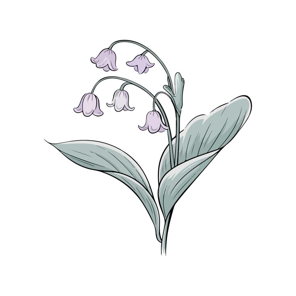 Elegant Lily With Flowing Leaves vector