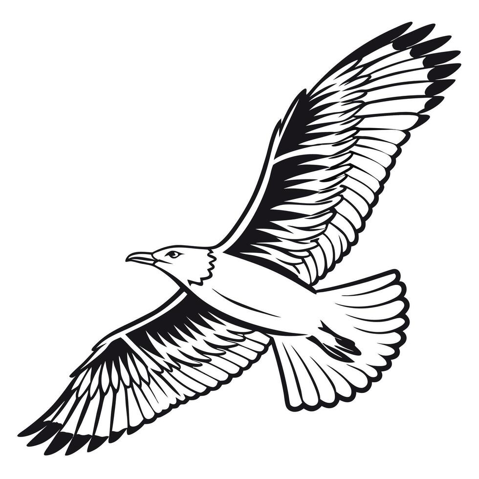 Flying Bird Silhouette Isolated on White Background vector