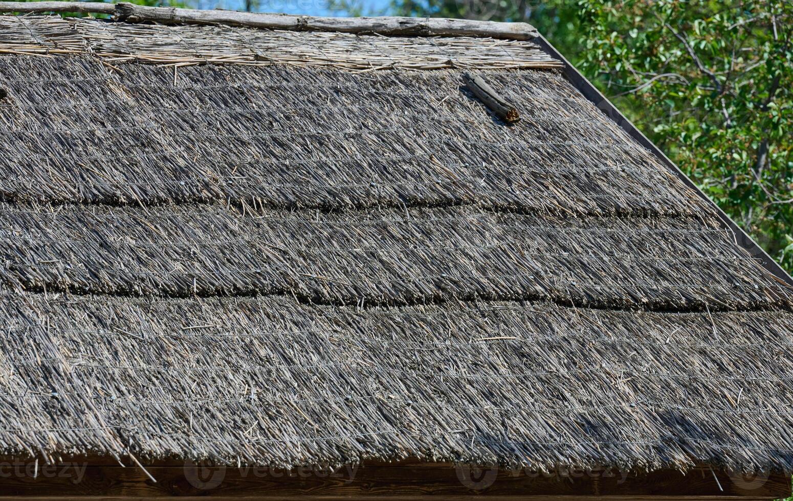 Traditional thatched roof made from natural straw or reed. Rustic detail of an old building photo