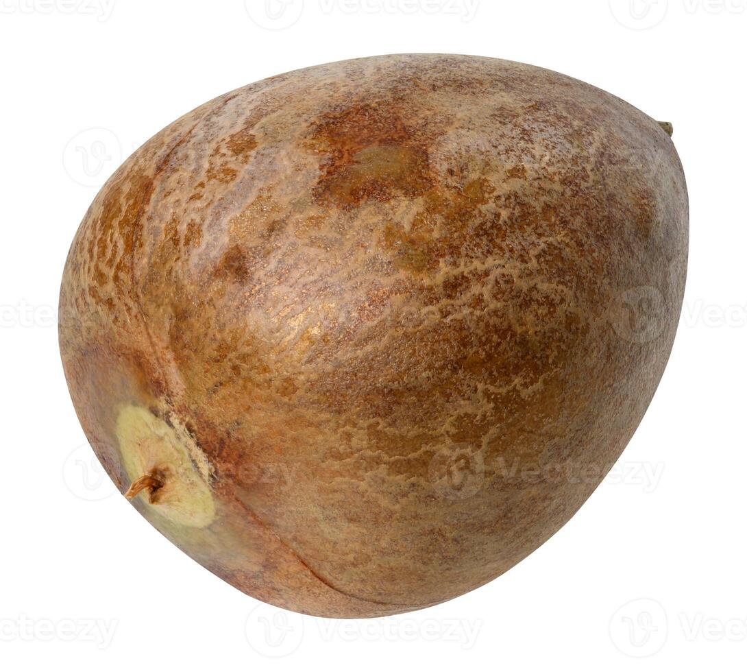 Whole brown avocado pit on isolated background photo