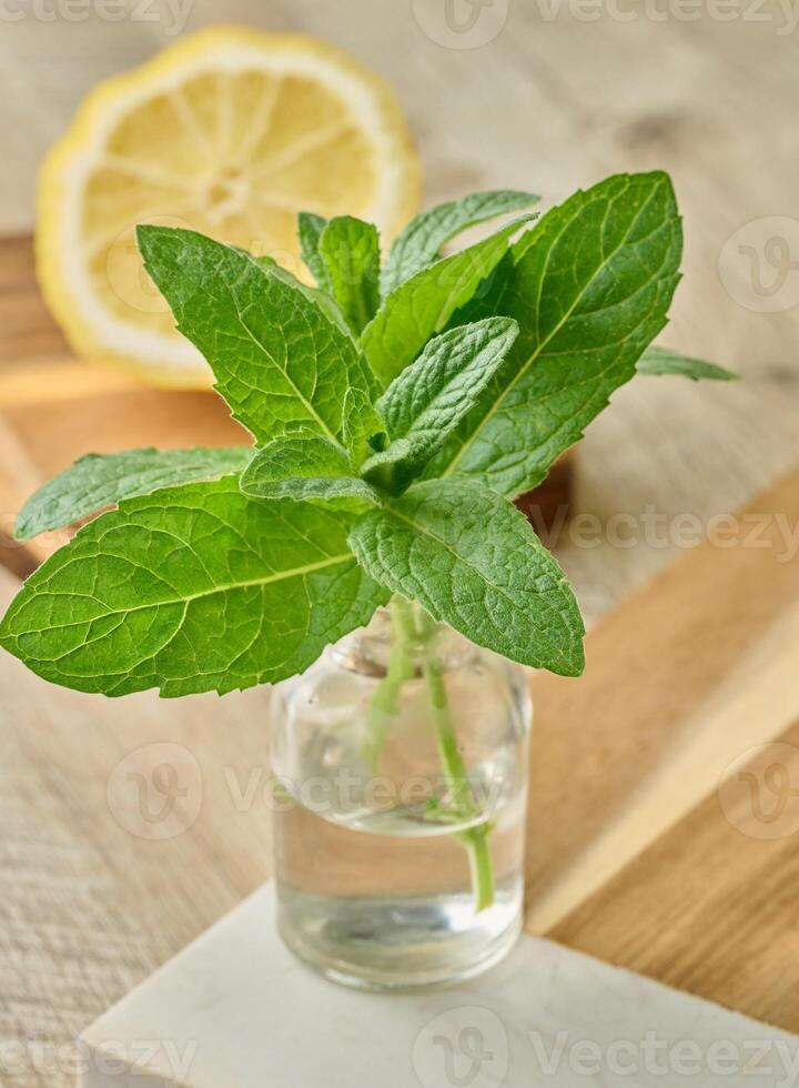 Fresh mint sprigs in a small glass bottle with water, placed on a wooden surface photo
