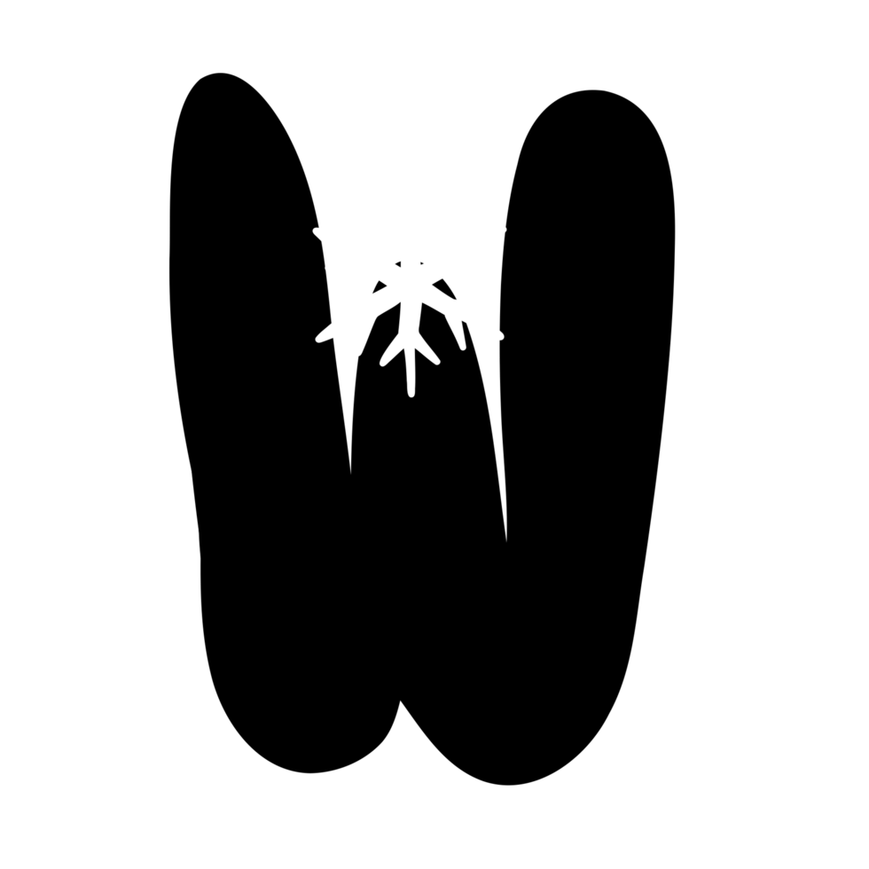 W snowflake alphabet png
