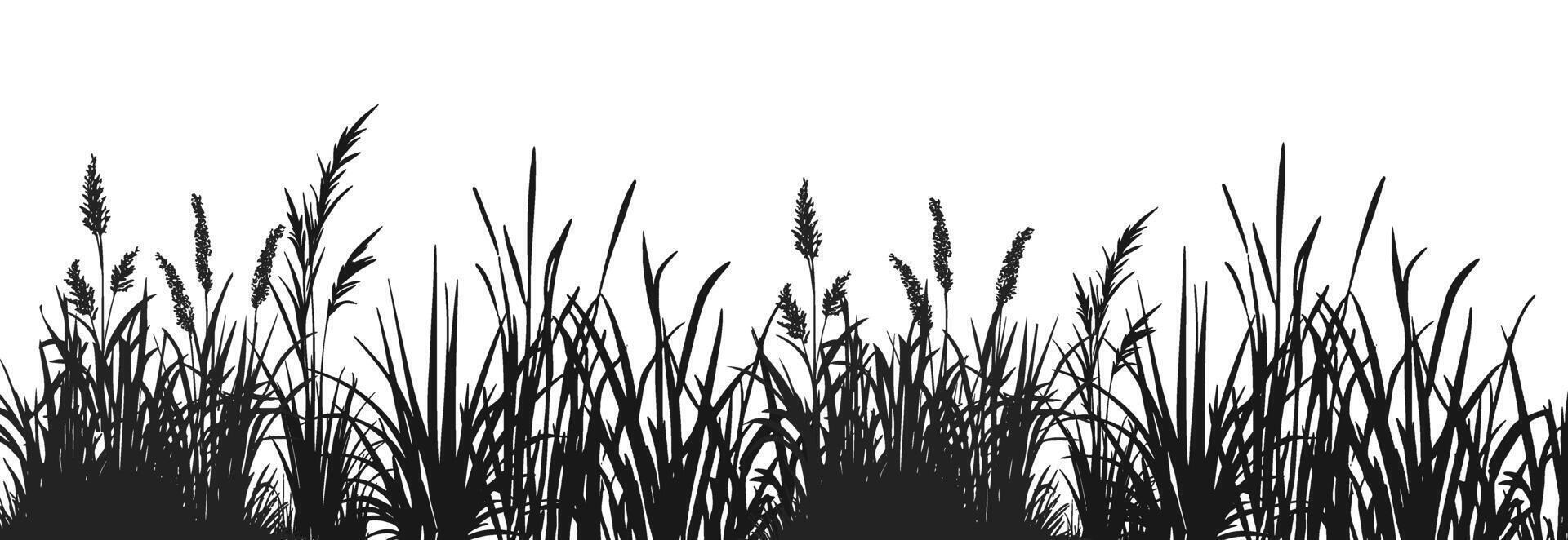 Black and white illustration of grass vector