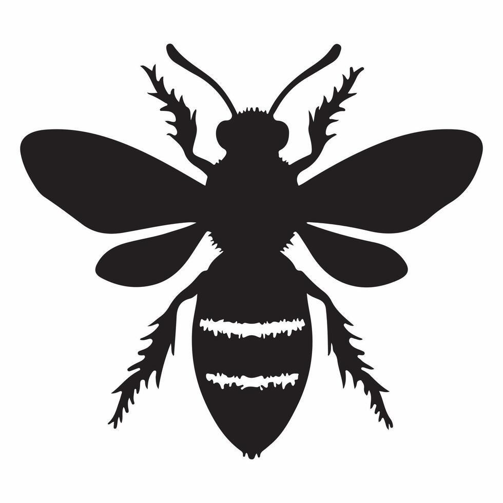 A bee with a black face and wings that says bee vector