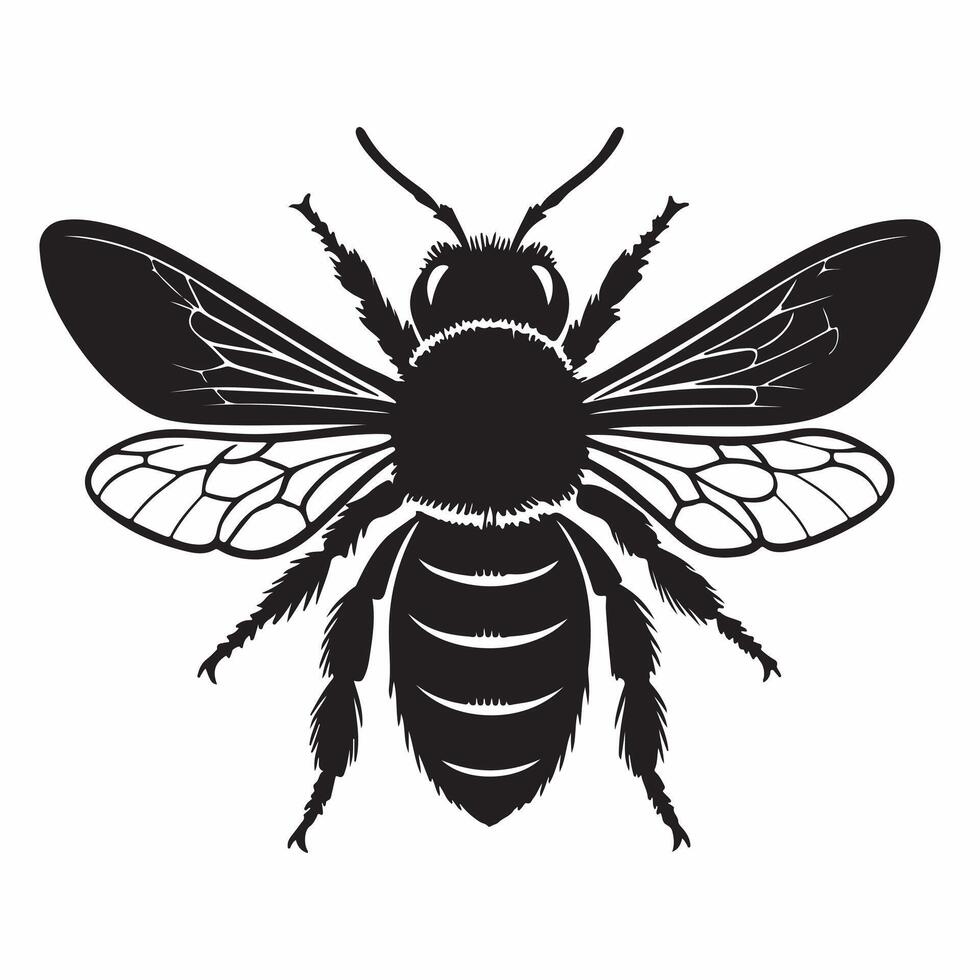 Graphic image of a bee silhouette isolated on a white backdrop vector
