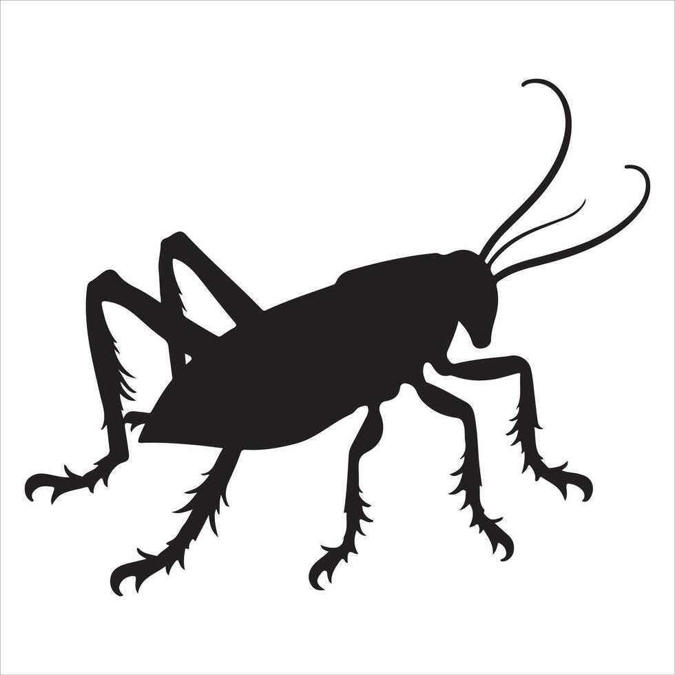 Cartoon Clipart of a Cockroach Animal vector