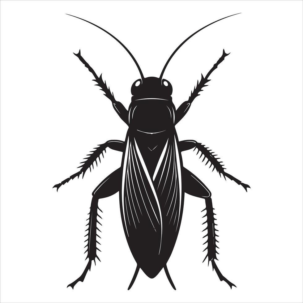 Silhouette Cricket Insect Animal Only in Black vector