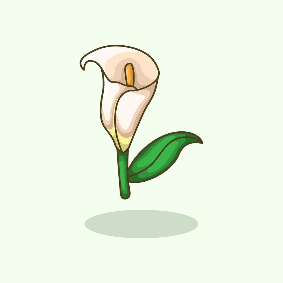 Calla Lily Flower Elegant White Bloom Botanical Plant Illustration vector