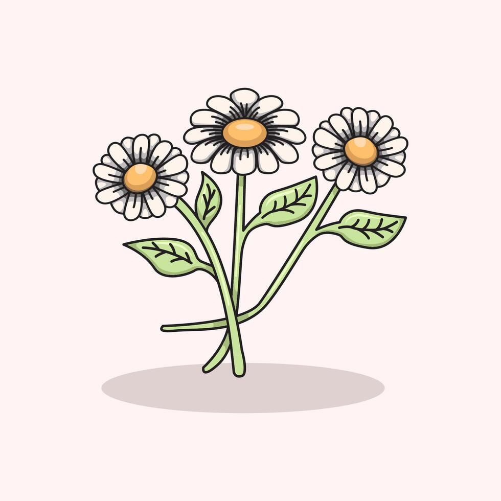 illustration of camomile daisy flower icon design editable scalable vector