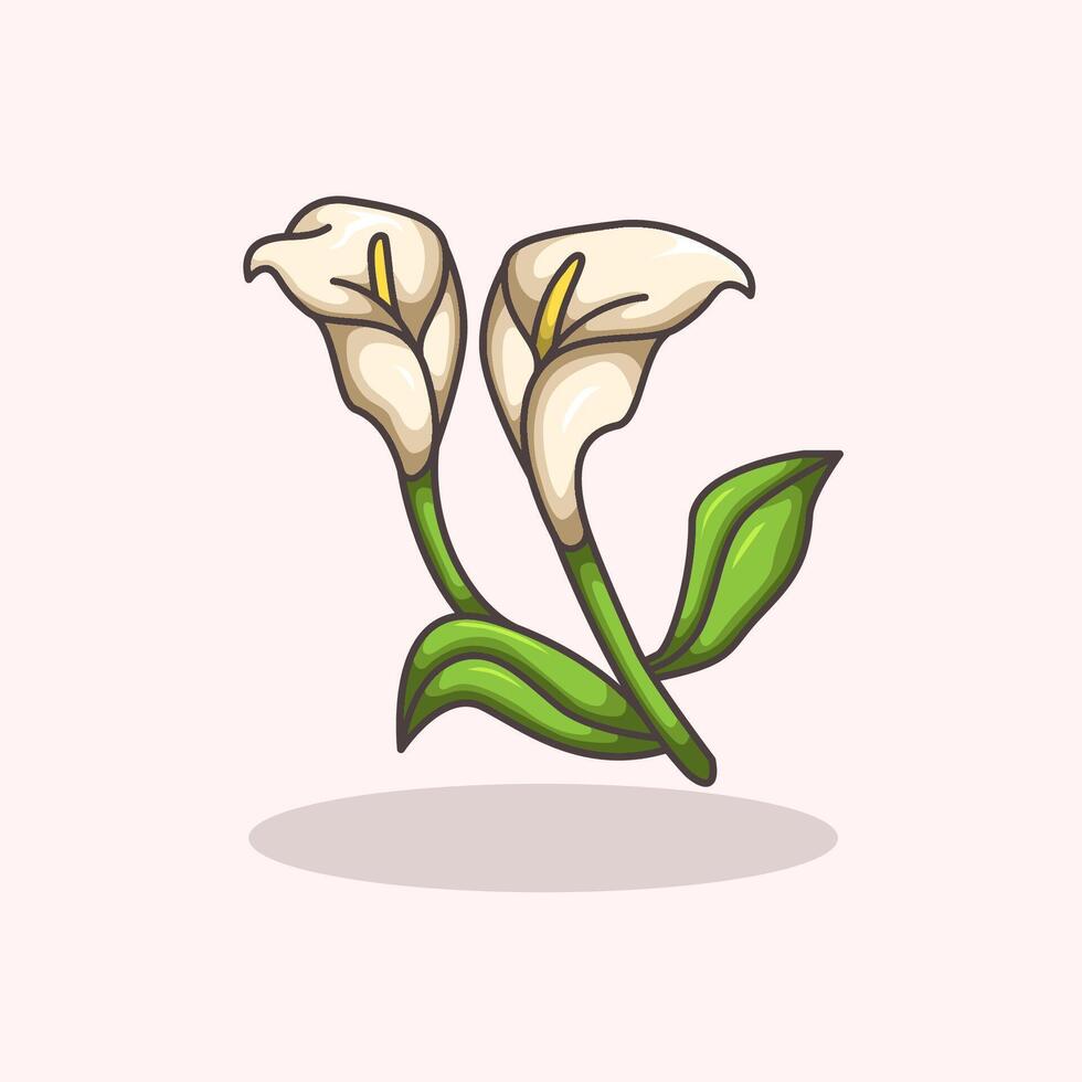 illustration of calla lily flower plant symbolizing purity elegance and beauty Perfect for floral design wedding themes botanical projects and nature vector
