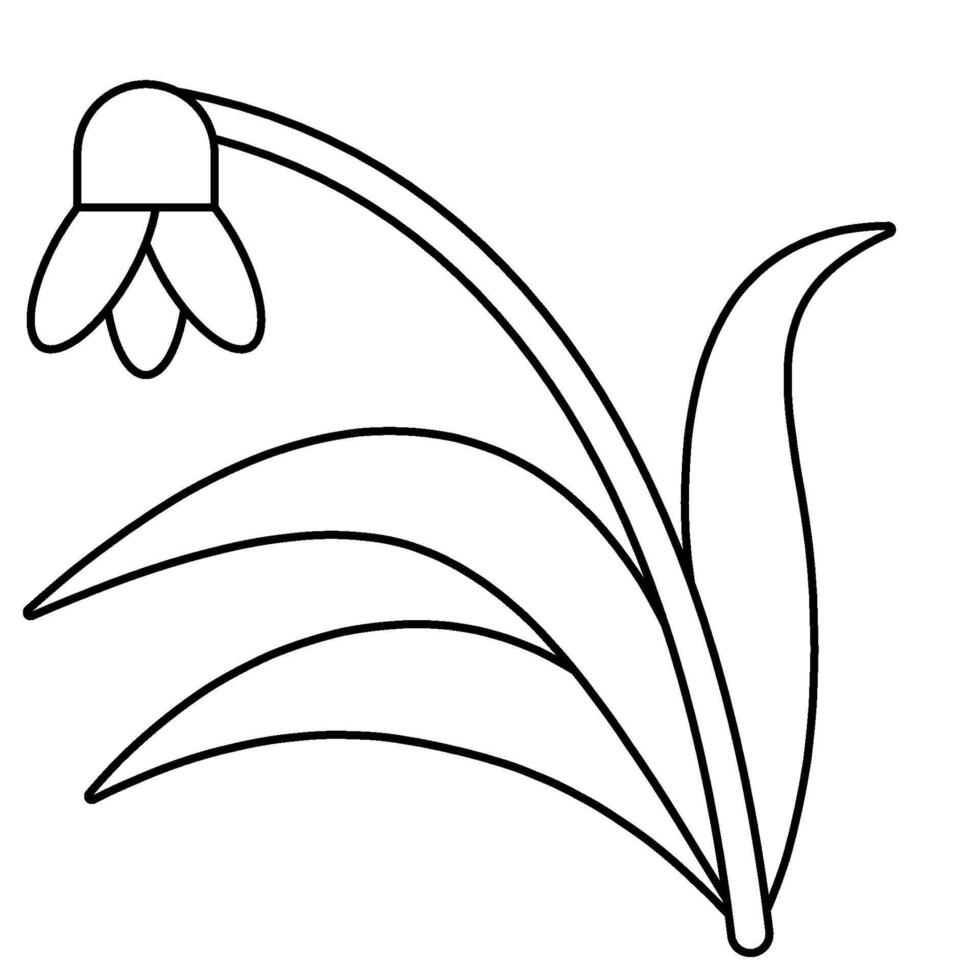 snowdrop outline icon vector