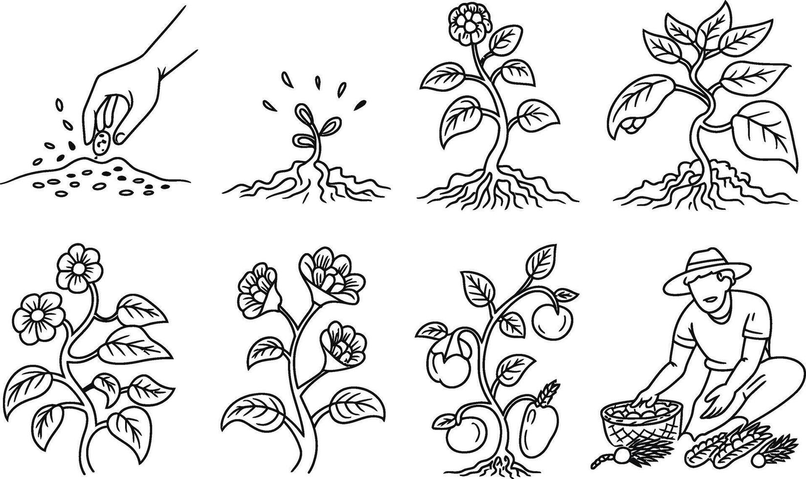 Illustration depicting the life cycle of plants from seed to harvest with farmer vector