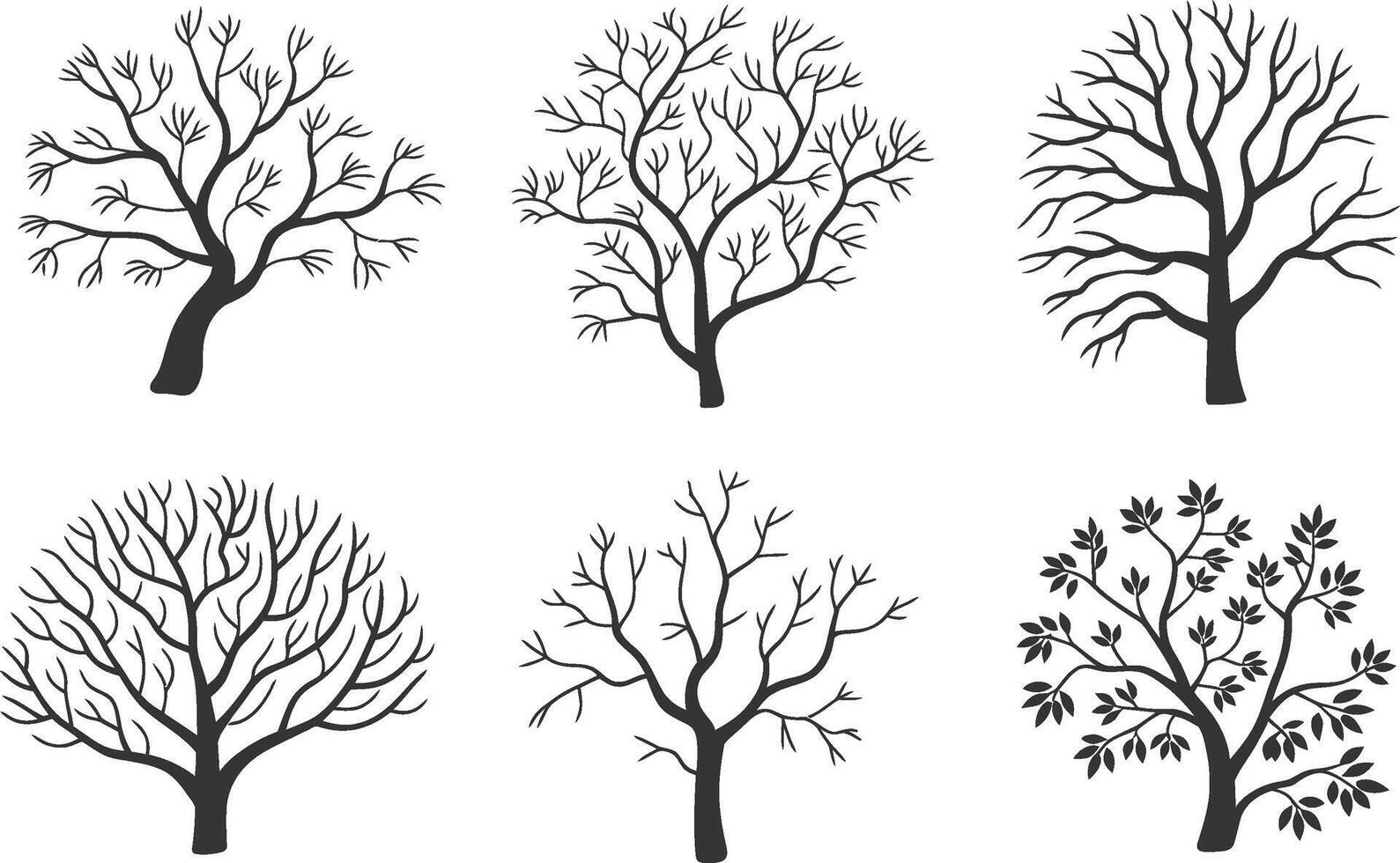 Set of six different tree silhouettes depicting various branch and foliage styles vector