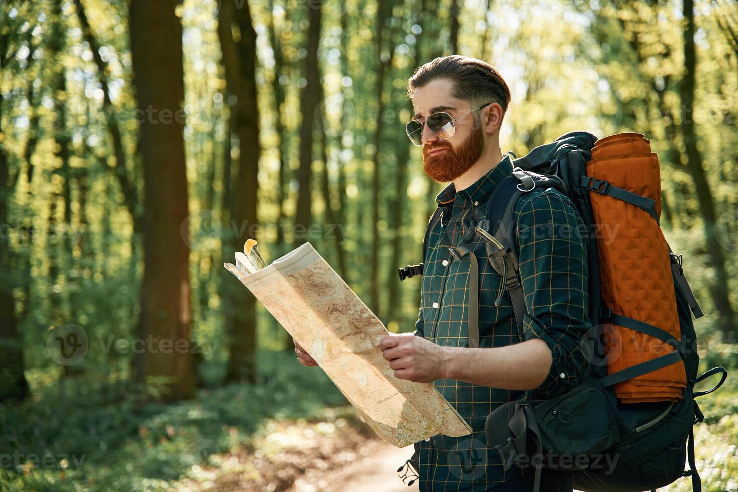 Using the map. Bearded man is in the ,forest at daytime photo